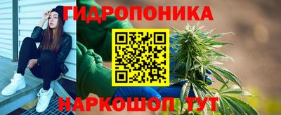 бошки Можга