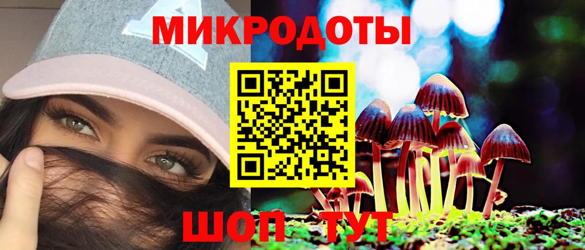 Галлюциногенные грибы мицелий Чайковский